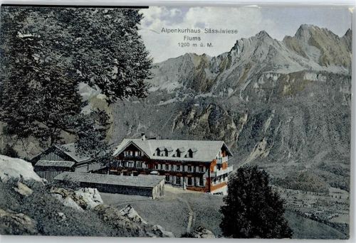 8890 Flums - Alpenkurhaus Sässiwiese