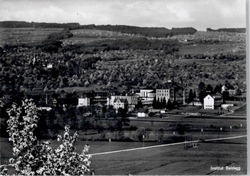 Baldegg Institut