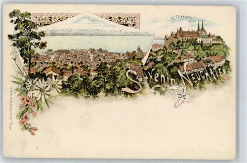 Neuchâtel Künstlerkarte, Gesamtansicht