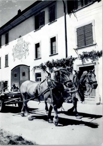 8213 Neunkirch - Bauernhof, Kutsche