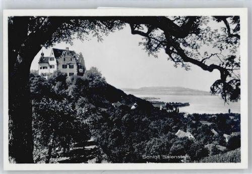 8268 Mannenbach-Salenstein - Schloss Salenstein