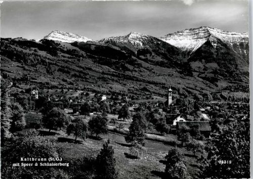 8722 Kaltbrunn - Gesamtansicht, Speer, Schläniserberg