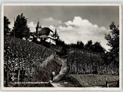 9437 Marbach SG - Gasthaus Schloss Weinstein Weinberg