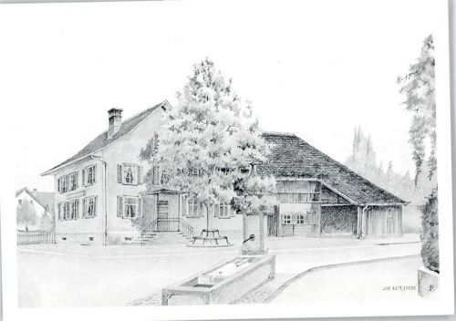 8952 Schlieren - Zeichnung, Die alte Linde