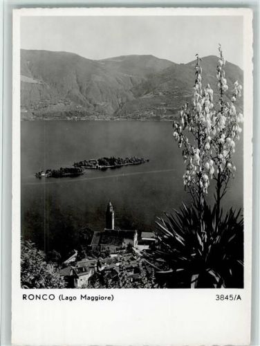 Ronco Lago Maggiore