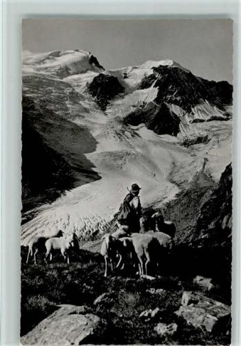 Susten An der Sustenstrasse Tierberge
