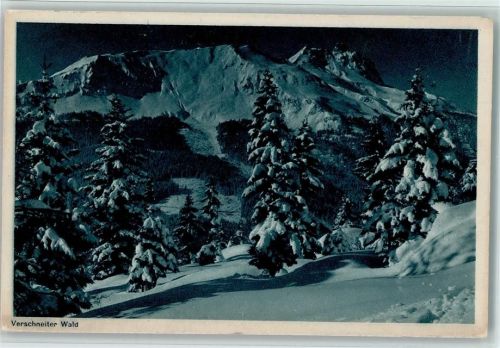 7250 Klosters 1921 Kupfertiefdruck Verschneiter Wald