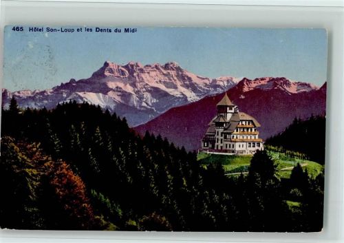 Les Avants Hôtel Son-Loup et les Dents du Midi