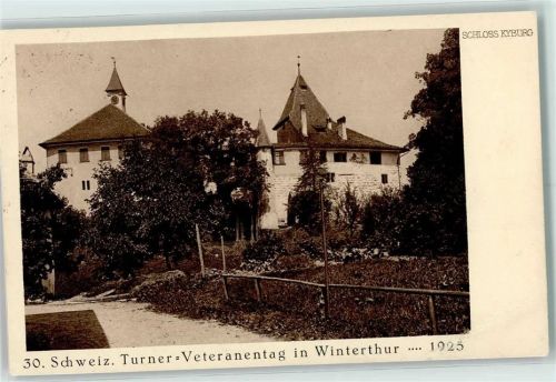 Winterthur 30. Schweiz. Turner-Veteranentag 1925