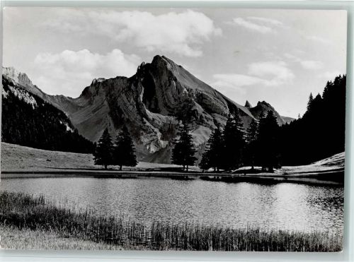 9657 Unterwasser - Gräppelensee mit Schafberg Obertoggenburg