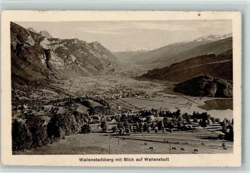 8880 Walenstadt - Walenstadtberg Blick auf Walenstadt