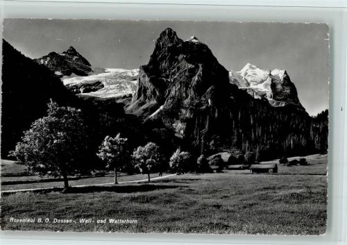 Rosenlaui B.O. Dossen- Well- und Wetterhorn Bäume