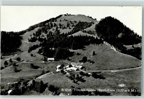 Hörnli ZH Fliegeraufnahme