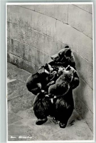 3000 Bern Berne - Barenmutter mit Jungen
