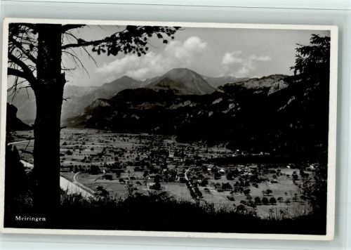 Meiringen Bäume