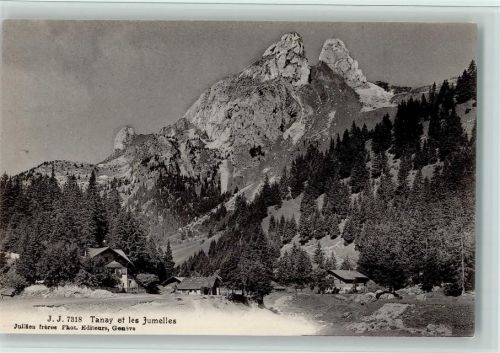 Vouvry Hotel du lac Taney - Tanay et les Jumelles