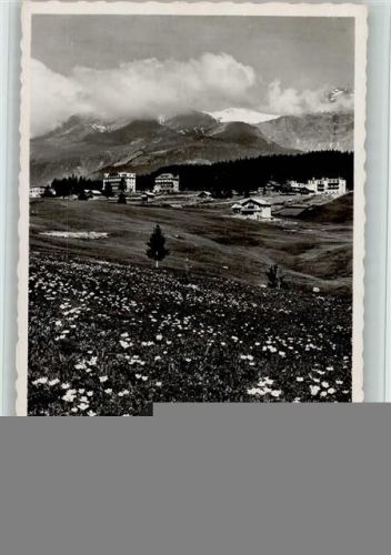 Crans-sur-Sierre blühende Wiese