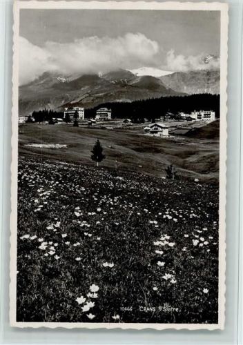 Crans-sur-Sierre blühende Wiese