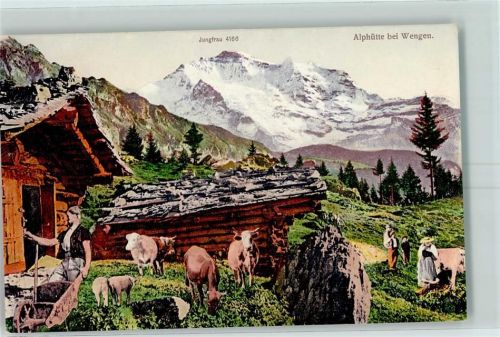 Wengen Alphütte bei Wengen Jungfrau Bäurin Kühe