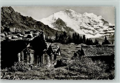 Wengen Jungfrau
