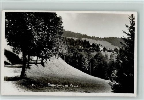 Wald ZH Sanatorium Wald