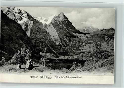 Grosse Scheidegg Blick in's Grindelwaldthal