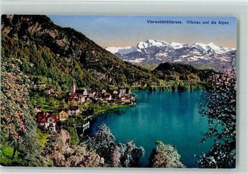 Vitznau Vierwaldstättersee Vitznau und die Alpen