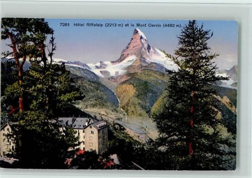 Zermatt Hôtel Riffelalp et le Mont Cervin Bäume