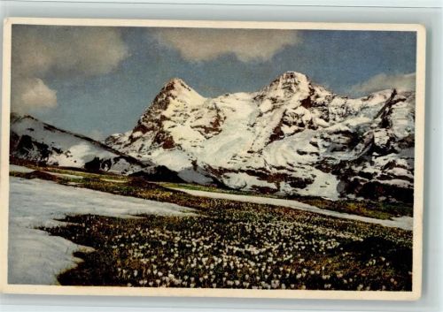 Mürren Bergfrühling bei Mürren Eiger Mönch