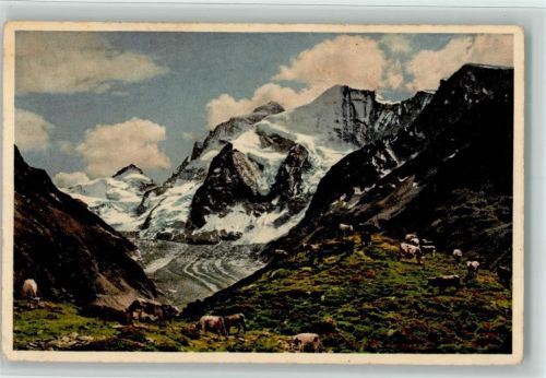 Zinal Kühe auf der Alpe d`Arpiteffa , Verlag Gyger Nr. A 8865 AK