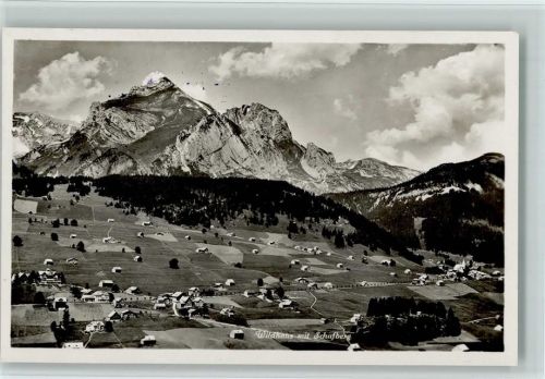 9658 Wildhaus - mit Schafberg Gasthaus Pension Alpenblick