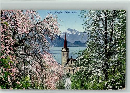Weggis Niederbauen blühende Bäume