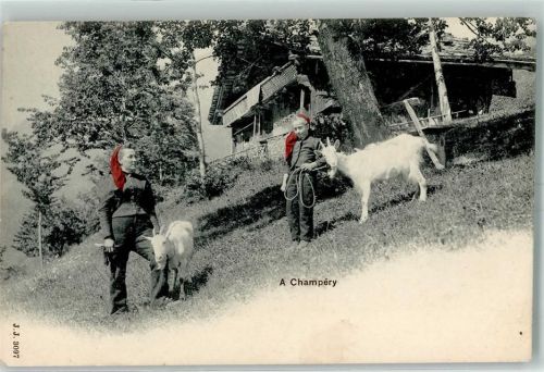 Champéry Bauernfrauen mit Ziegen