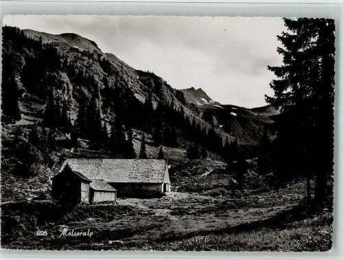 8896 Bergheim Flumserberg - Molseralp