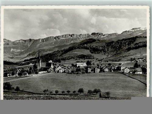 Stein AR Alpstein