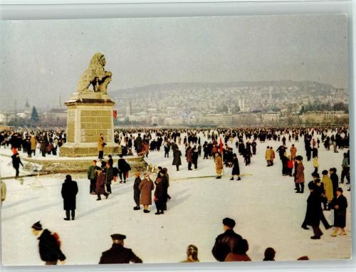 Zürich Seegfrörni 1963 AK