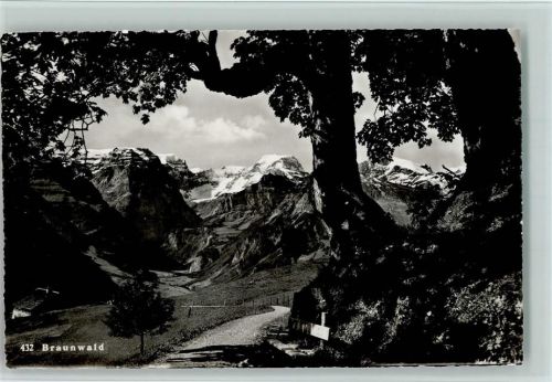 Braunwald Bäume