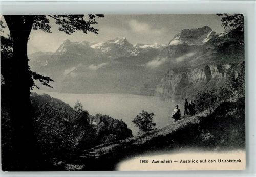 6443 Morschach - Axenstein Ausblick auf den Urirotstock Bäume