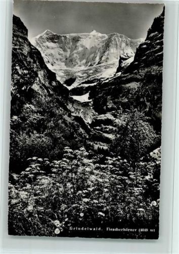 Grindelwald Fiescherhörner