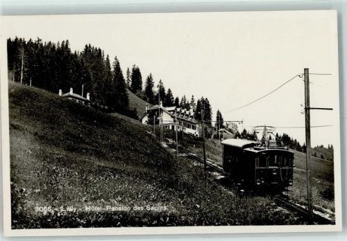 Blonay Hotel des Sapins Bahn