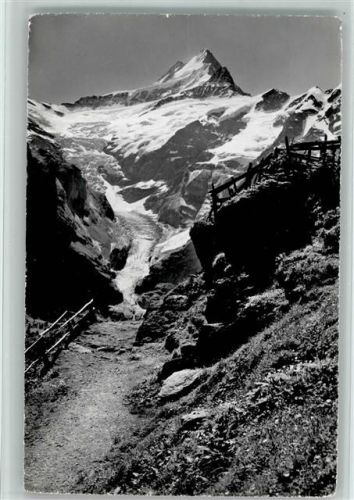 Grindelwald Gr. Schreckhorn Oberer Grindelwaldgletscher