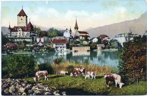 um 1910/20 Spiez am Thunersee. K: Bern. Schweiz Nr. 165.,Chr. Brennenstuhl AKU2