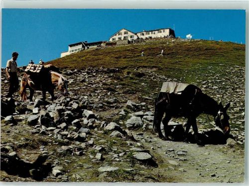 Faulhorn - Hotel Faulhorn Maultierpost