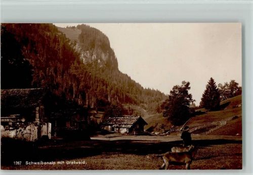 3855 Brienz BE - Schweibenalp mit Gratweid Hunde