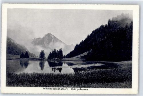 9658 Wildhaus - Gräppelensee