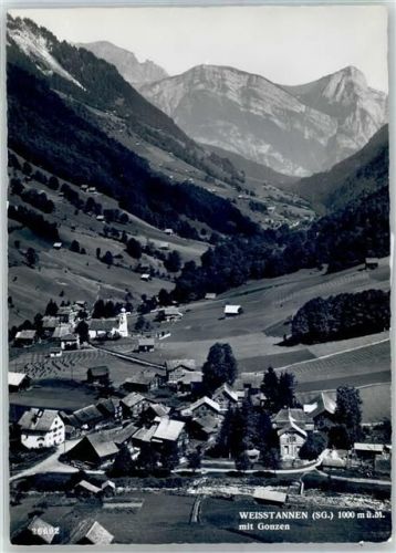 7326 Weisstannen - Blick mit Gonzen