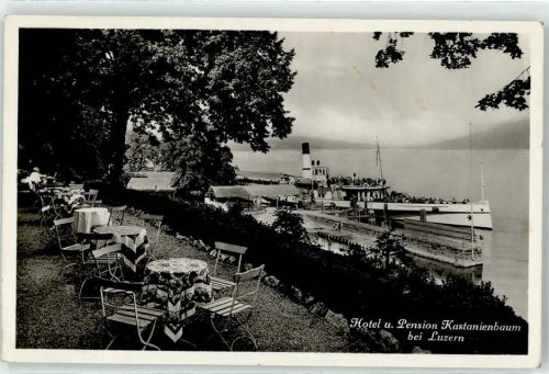 6000 Luzern Lucerne - Hotel Pension Kastanienbaum Schiff