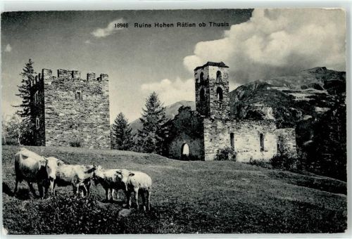 7430 Thusis - Ruine Hohen Rätien Kühe