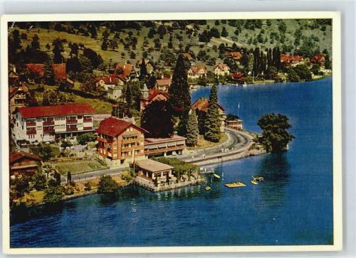 6353 Weggis 1953 - Hotel Bühegg