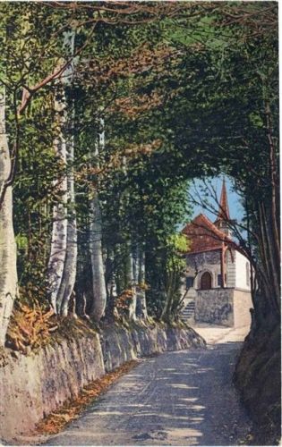 um 1910/20 - Küssnacht, Kanton Zürich, Schweiz, Hohle Gasse, Tellskapelle,Photoglob AKU1